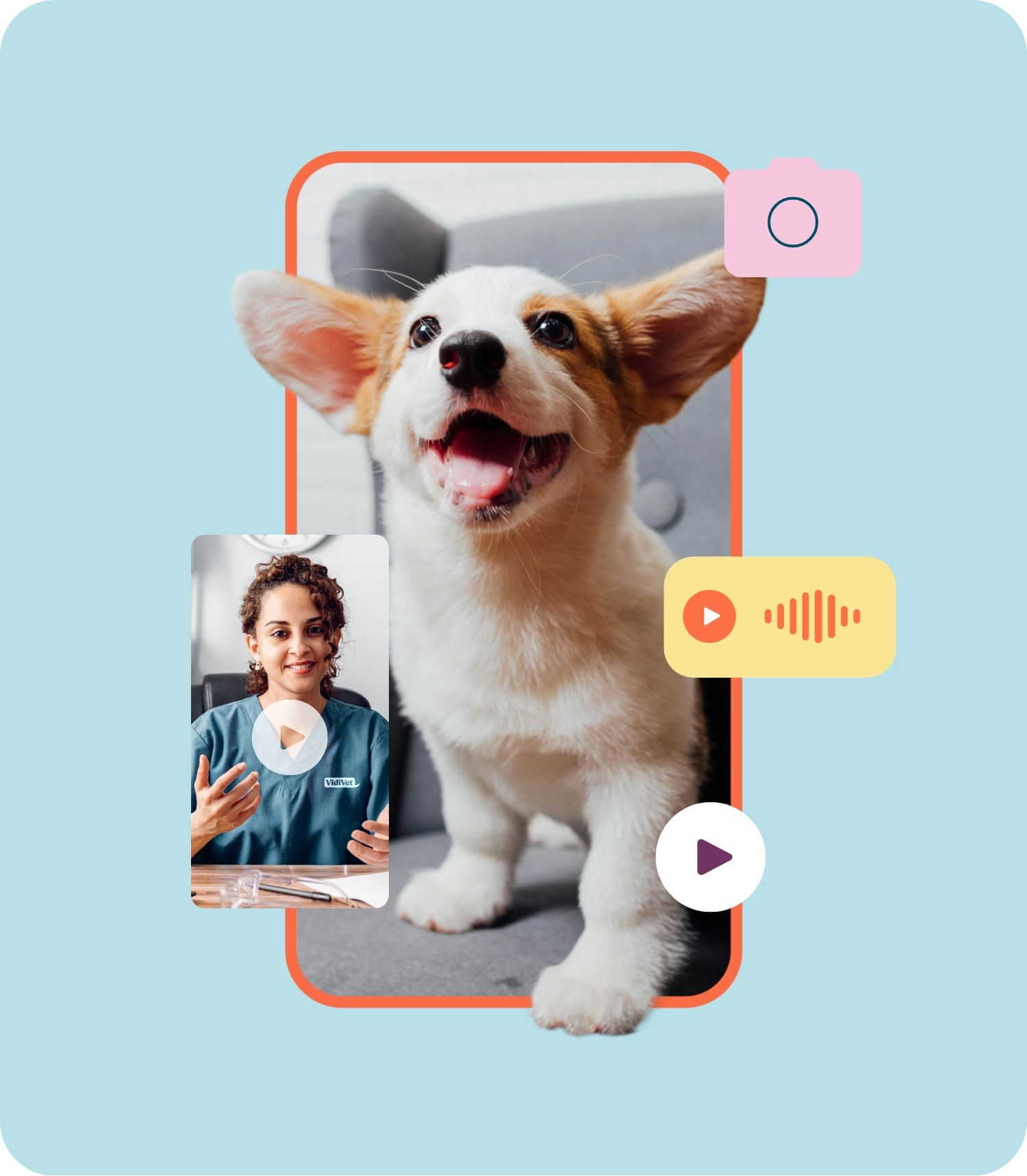 dog in vidivet app frame with vet video and play button overlaying