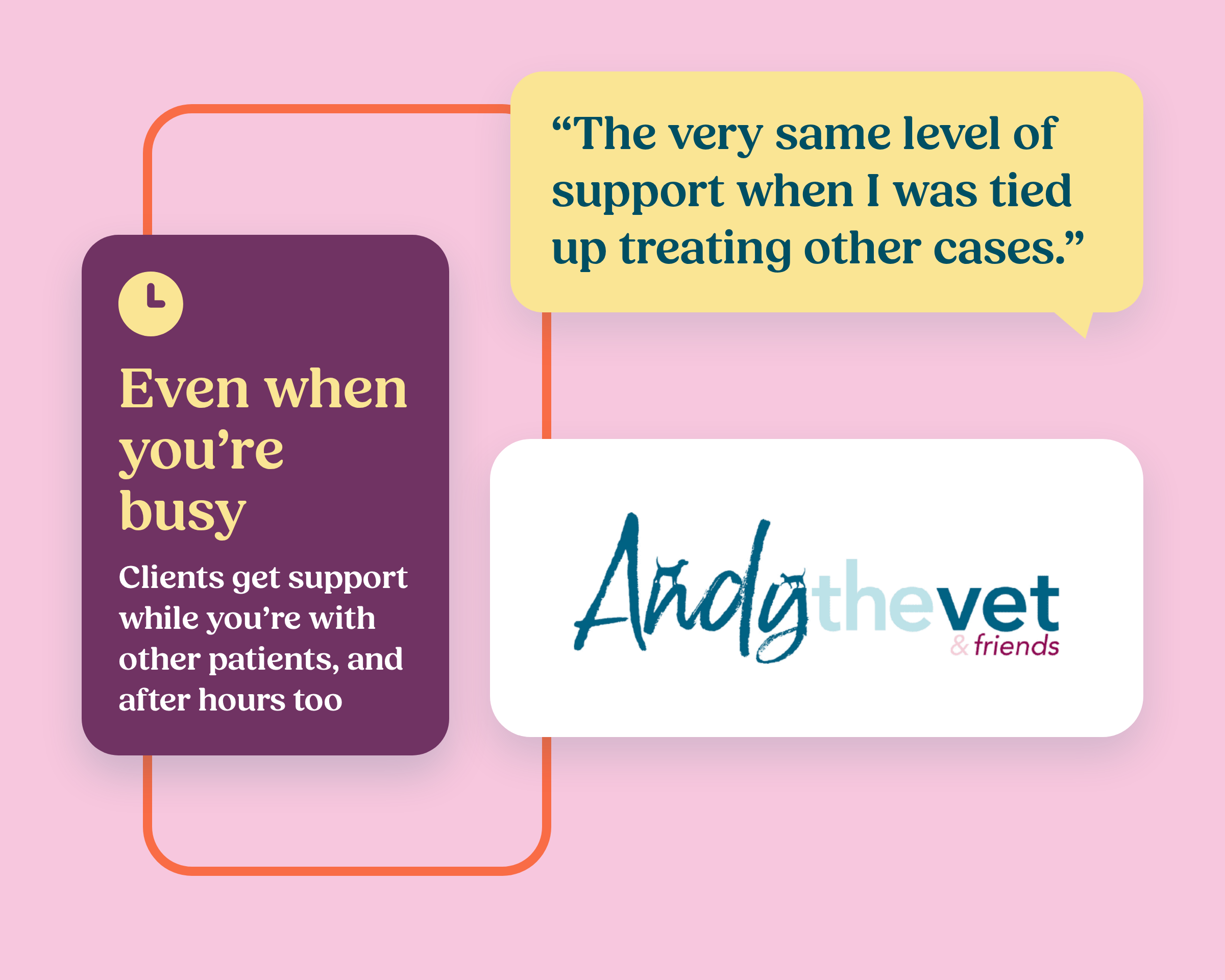 Andy the vet logo and testimonial