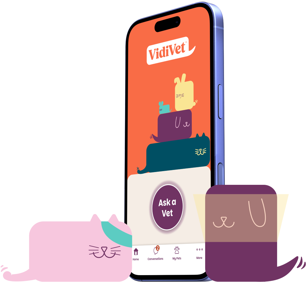 poorly pets and the VidiVet app