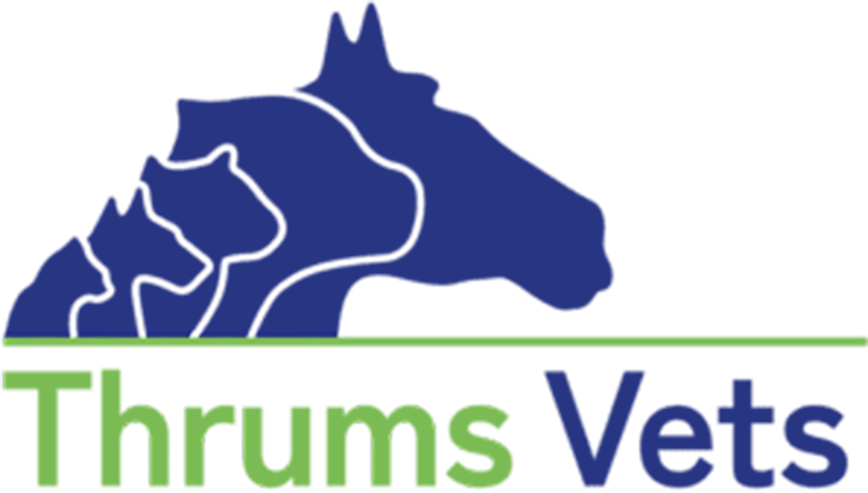 Thrums vets