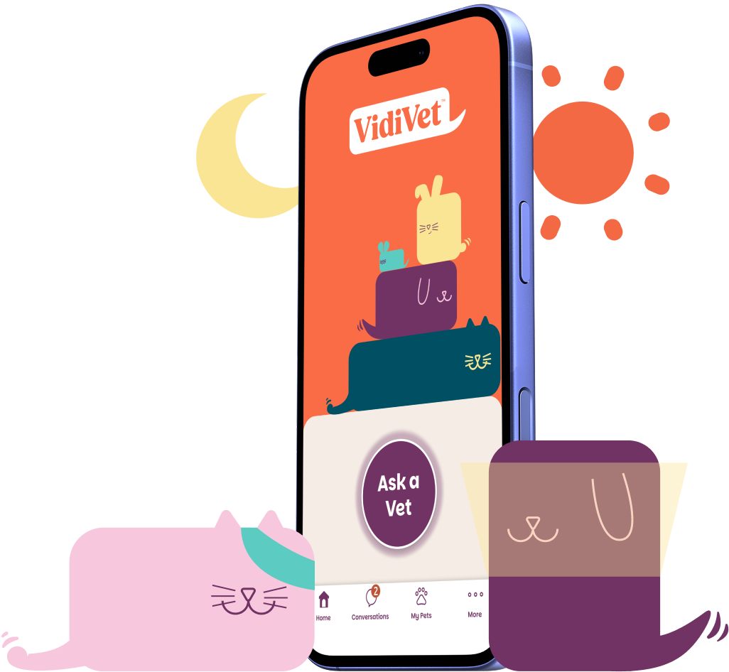 vidivet app on a mobile phone with the moon and sun in the background and a cat and dog character