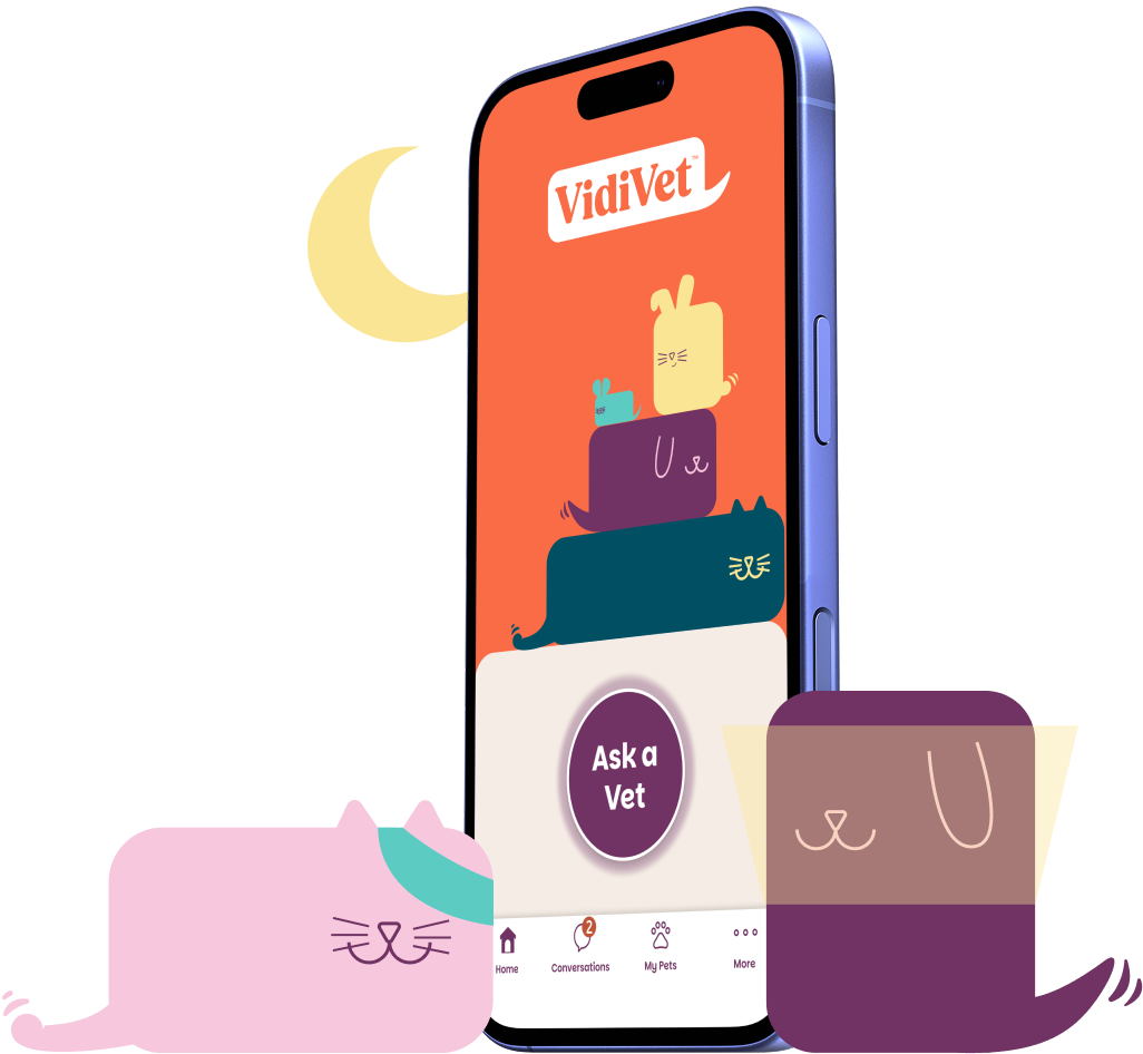 vidivet app on a mobile phone with the moon in the background and a cat and dog character